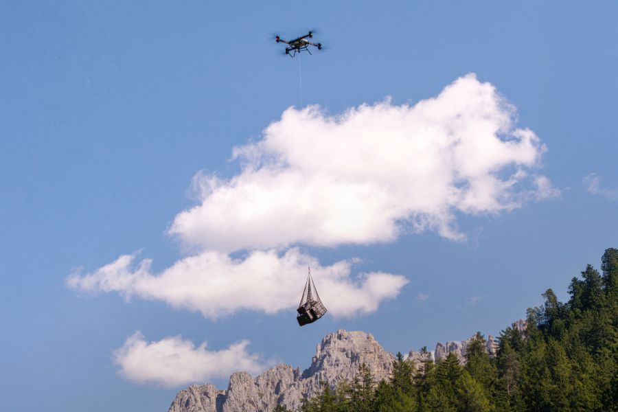 Advertorial_FlyingBasket_02_900x