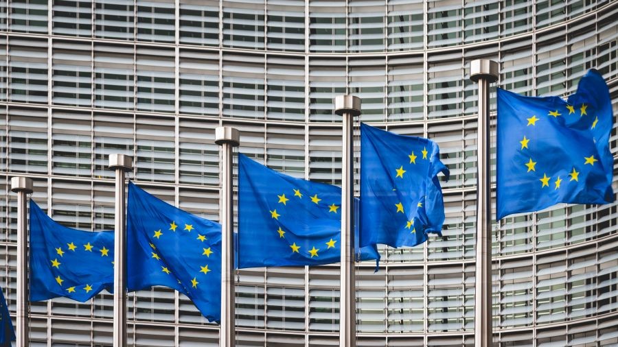 Drohnen-Hierarchie